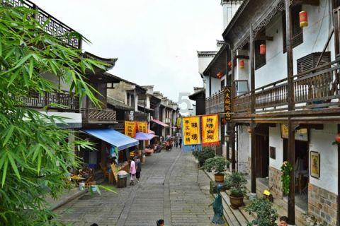 小猫钓鱼正版下载中文版