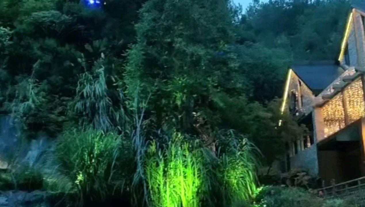 小猫钓鱼正版下载中文版